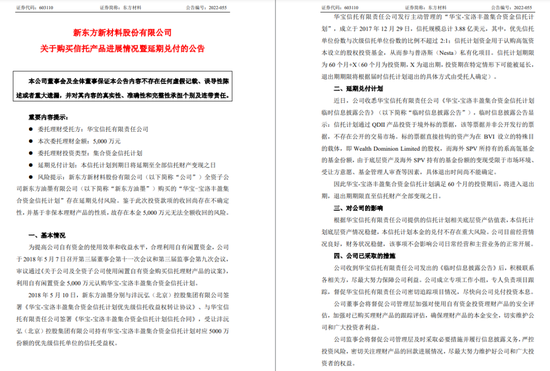 “东方”买“东方”：5000万理财踩雷+信披违规被罚的东方材料，由东证资管子公司参股